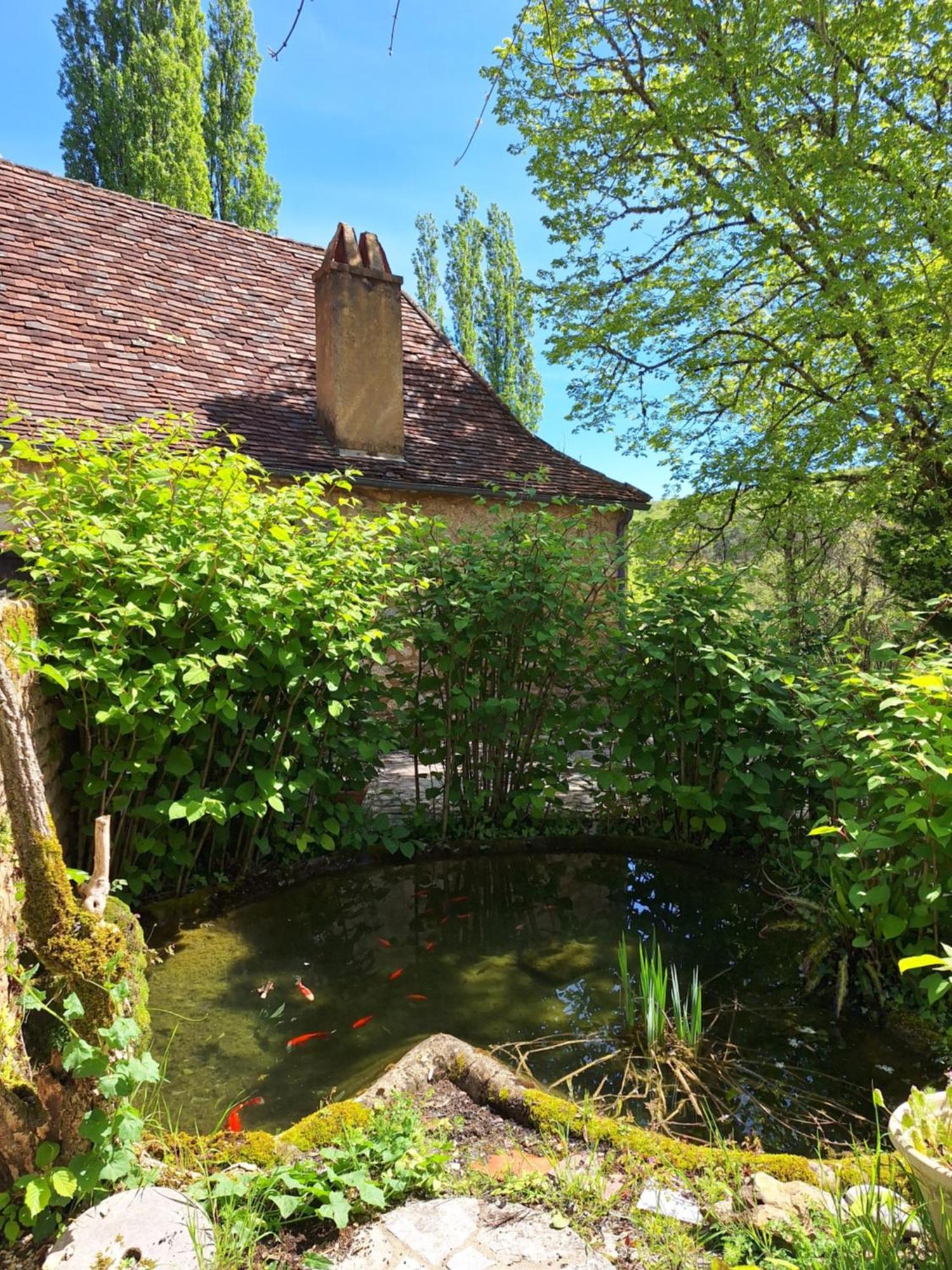 La Ferme Du Soleillal - Adult Only Hostel Campagne  Екстериор снимка